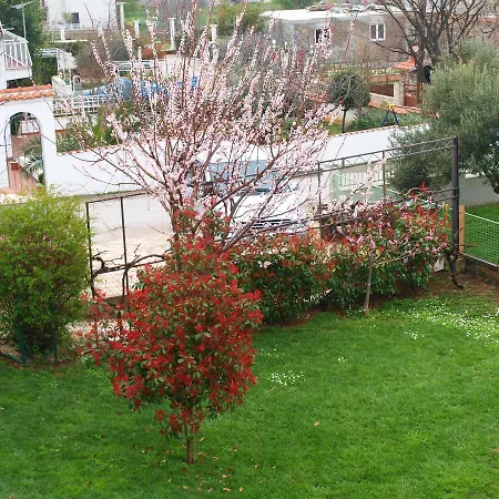 Apartament Stipanicev.1